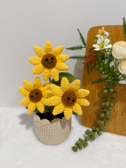 Three Little Cutie Smiles in Pot