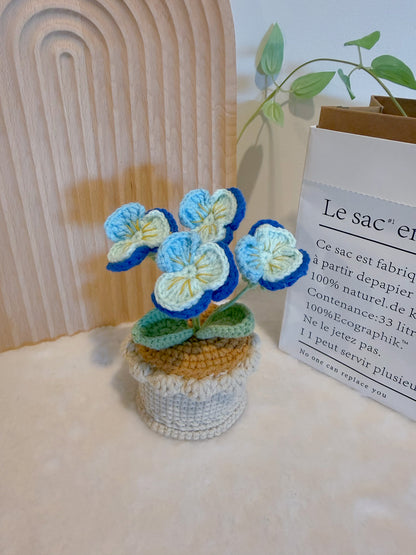 Pansy Flowers Pot Decoration