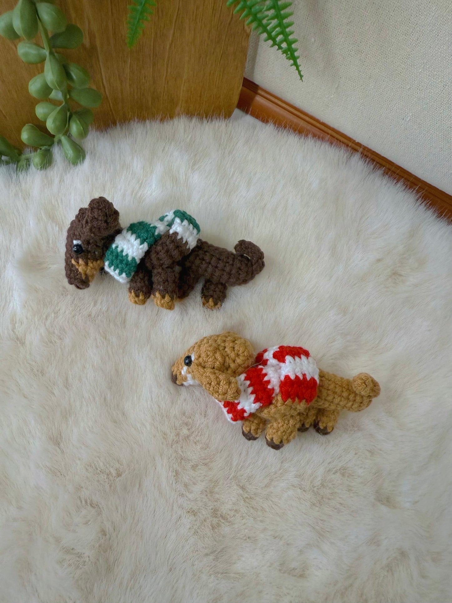 Long-bodied Dachshund Key Charm