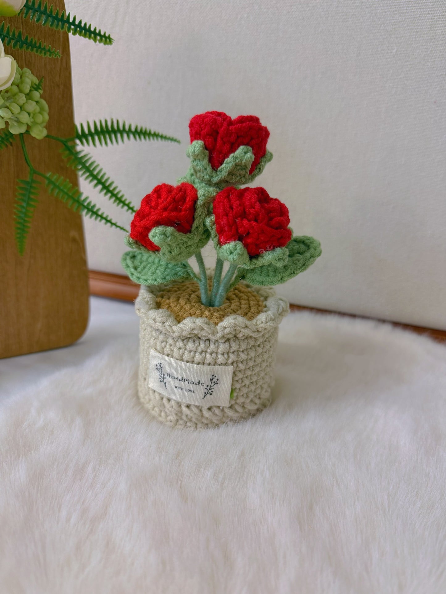 Potted Roses