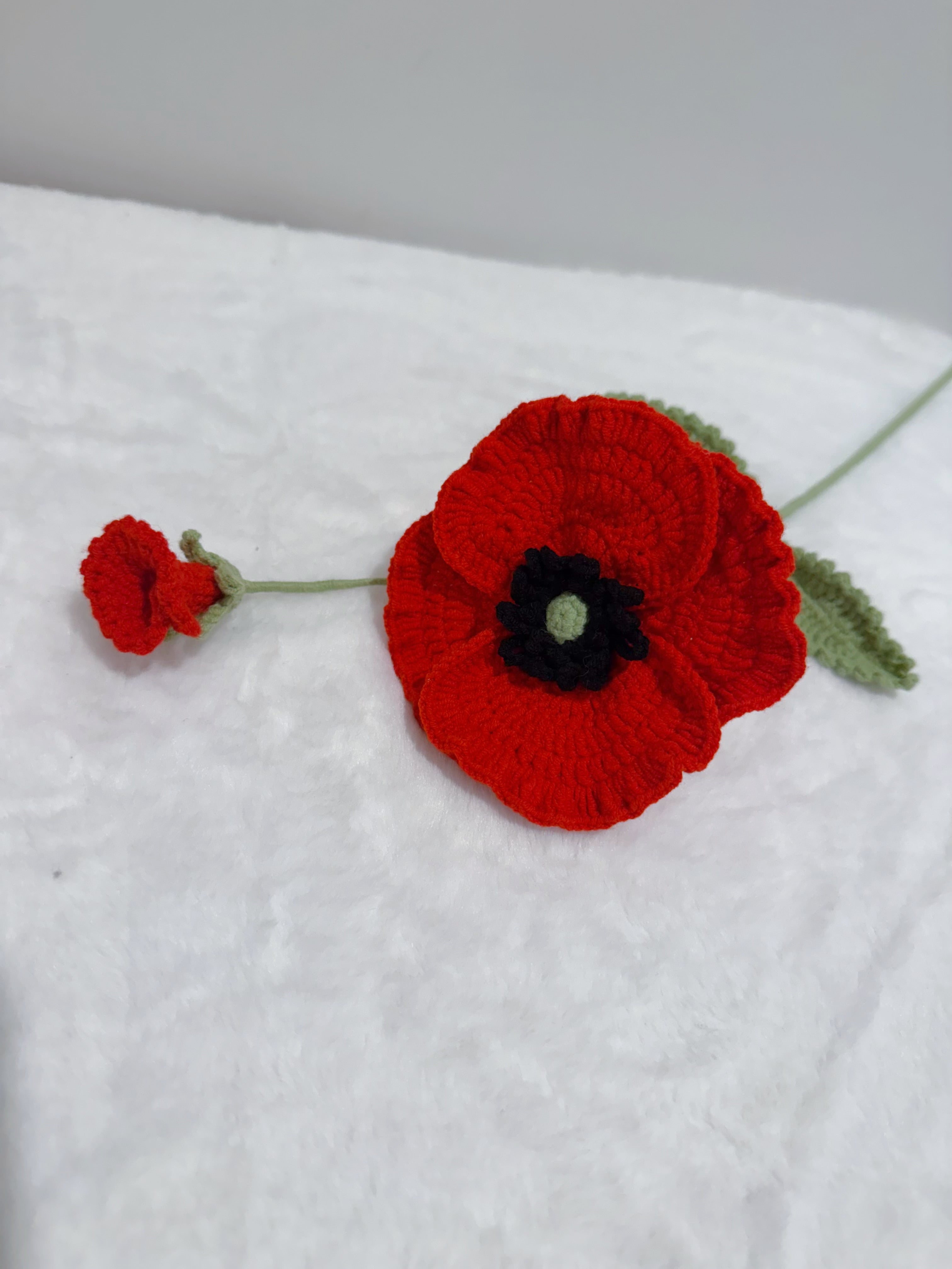 Poppy