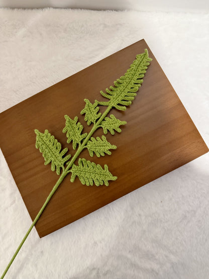 Fern