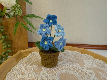 Do Not Forgot Me Plant Pot