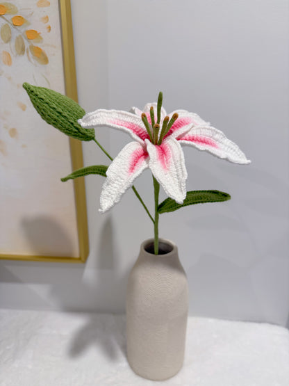 Lily Flower with Bud