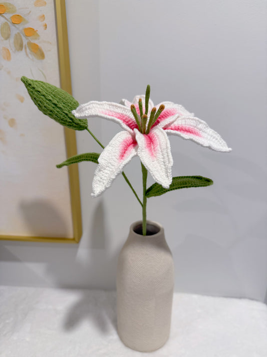 Lily Flower with Bud