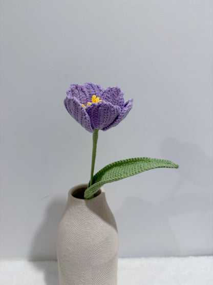 Tulip