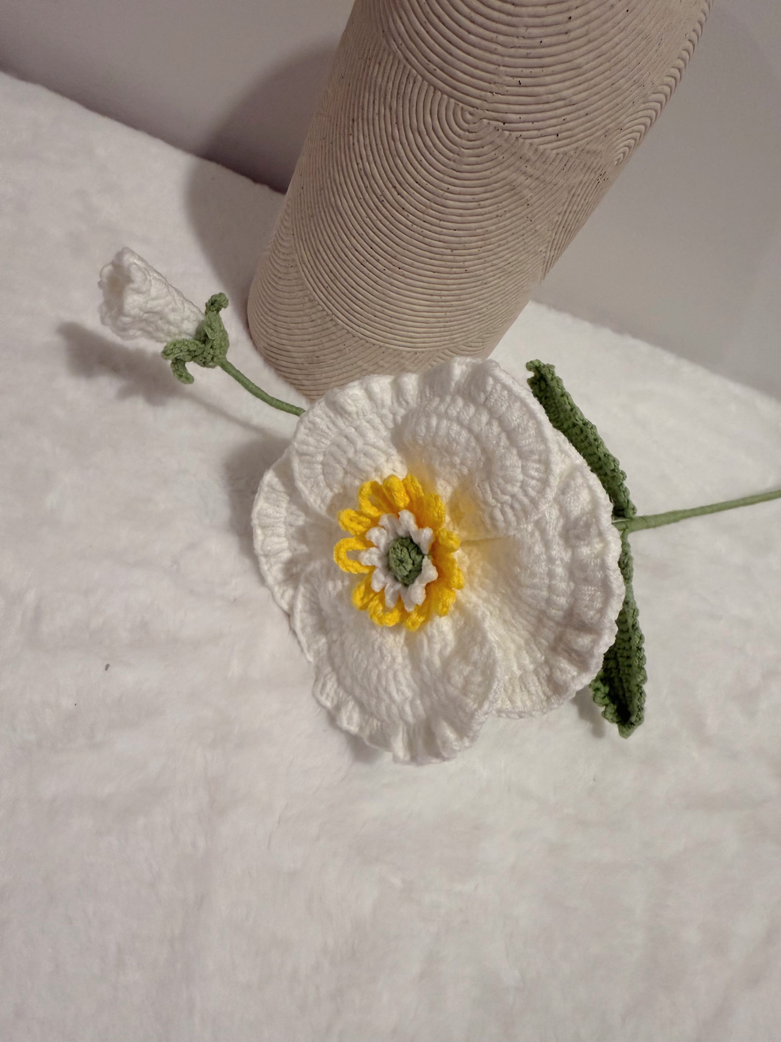 Poppy