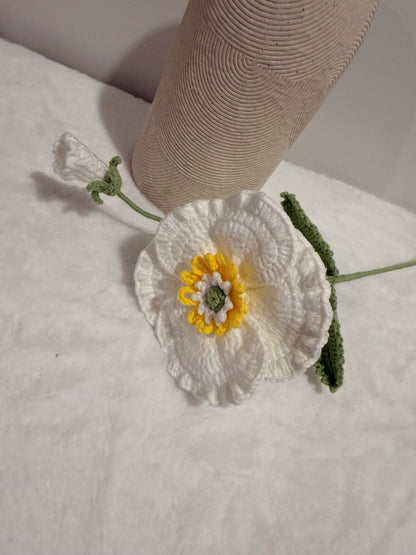 Poppy