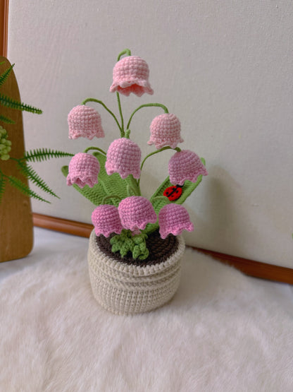 Potted Lily of the Valley with Ladybird