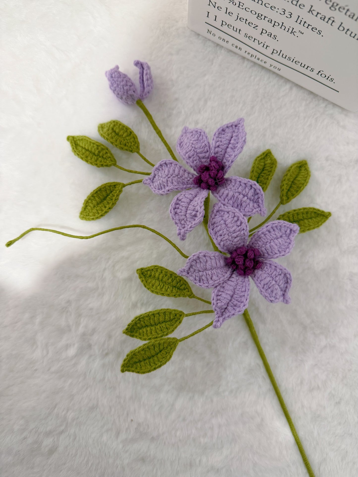 Clematis