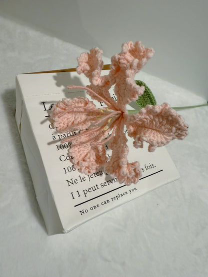 Crepe Myrtle