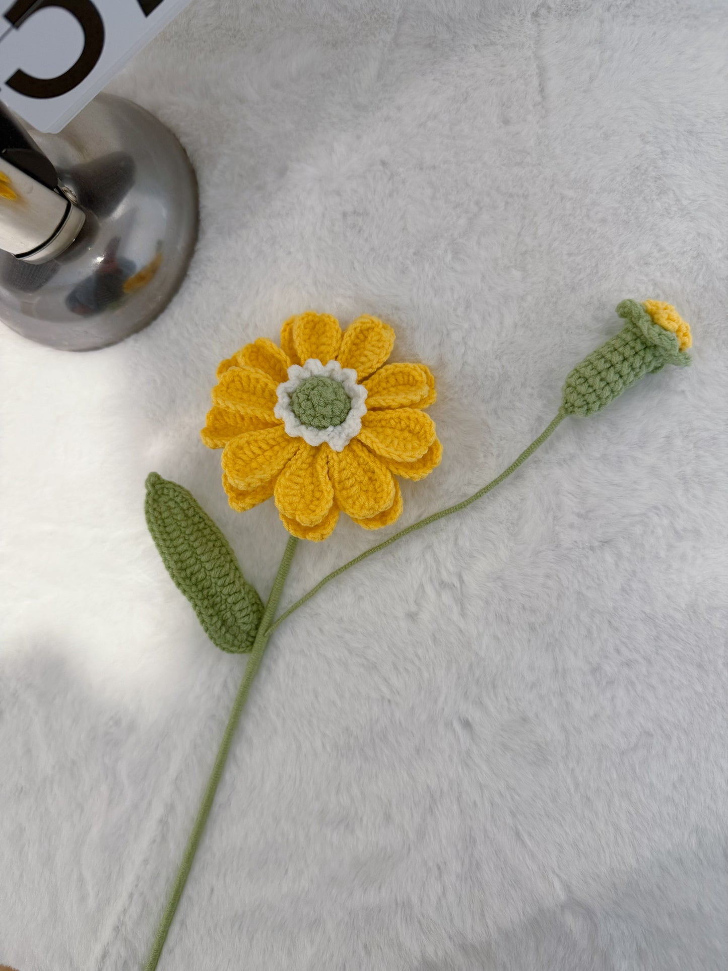 Zinnia