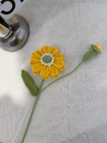 Zinnia