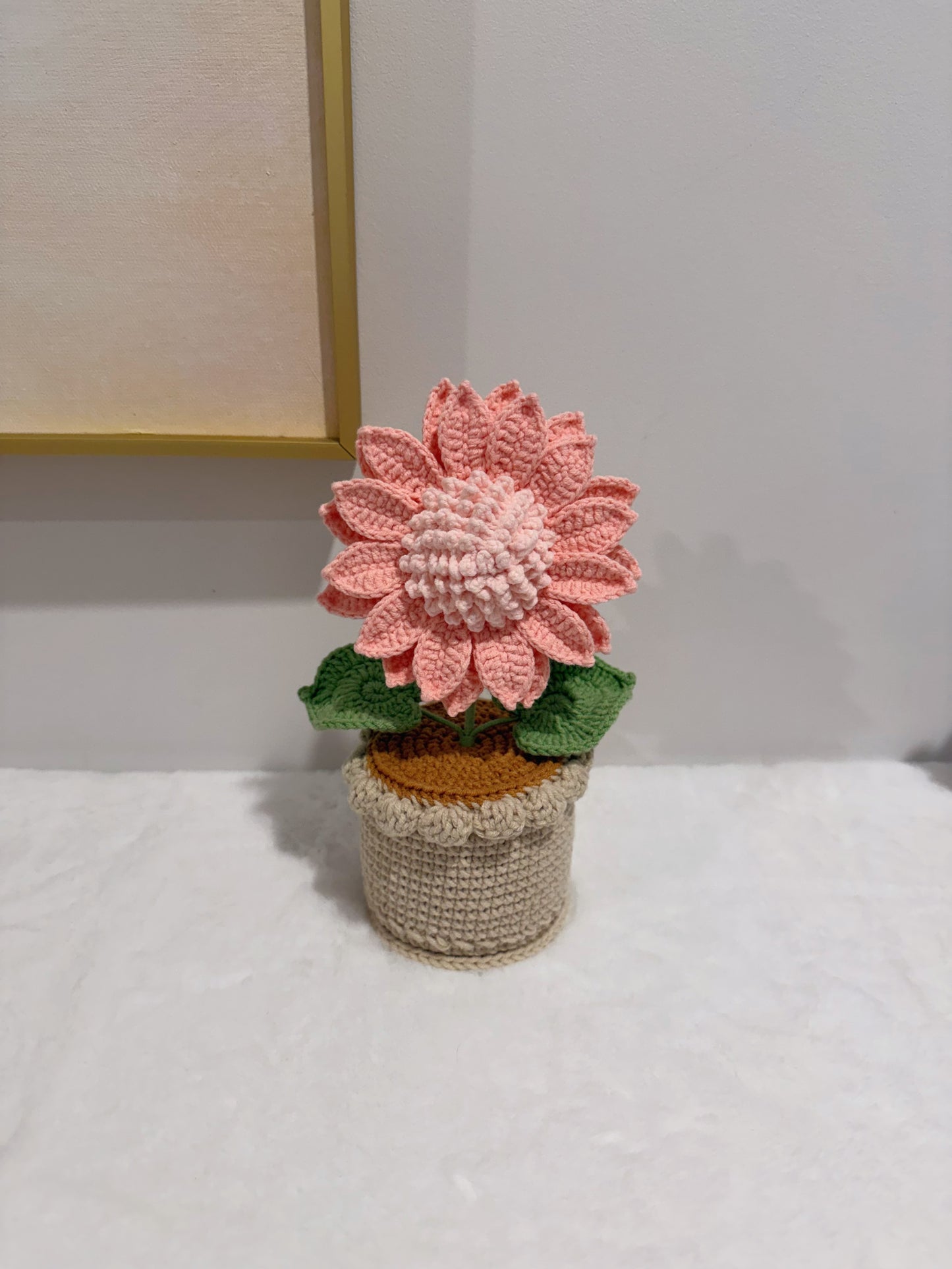 Sunny Bloom Pot