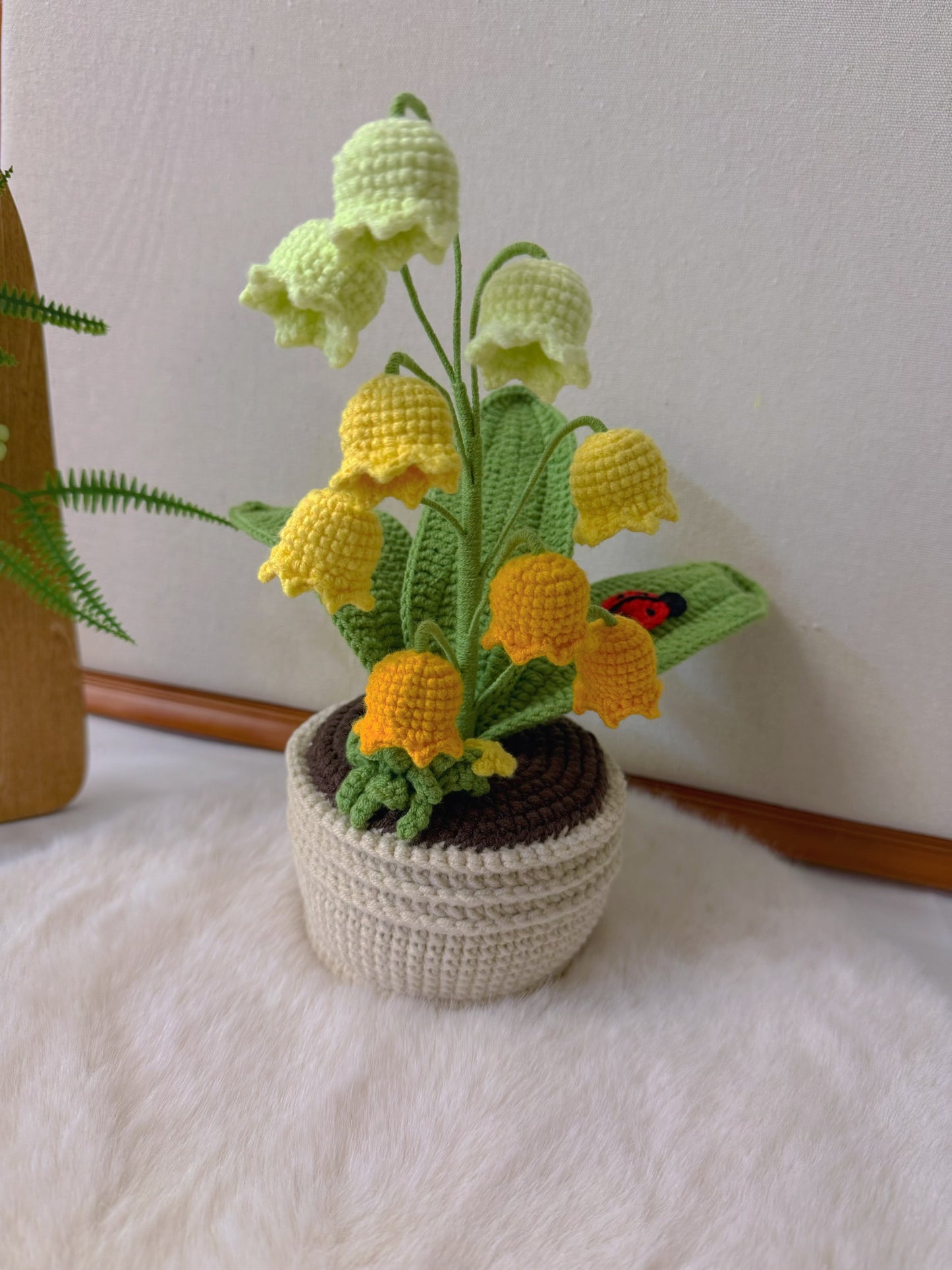 Potted Lily of the Valley with Ladybird