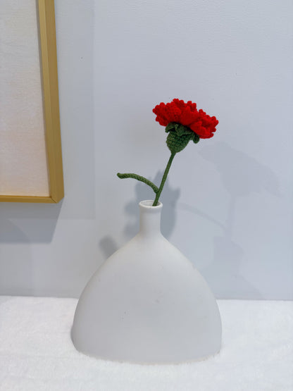 Carnation