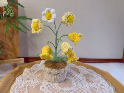 Lily of the Valley Pot