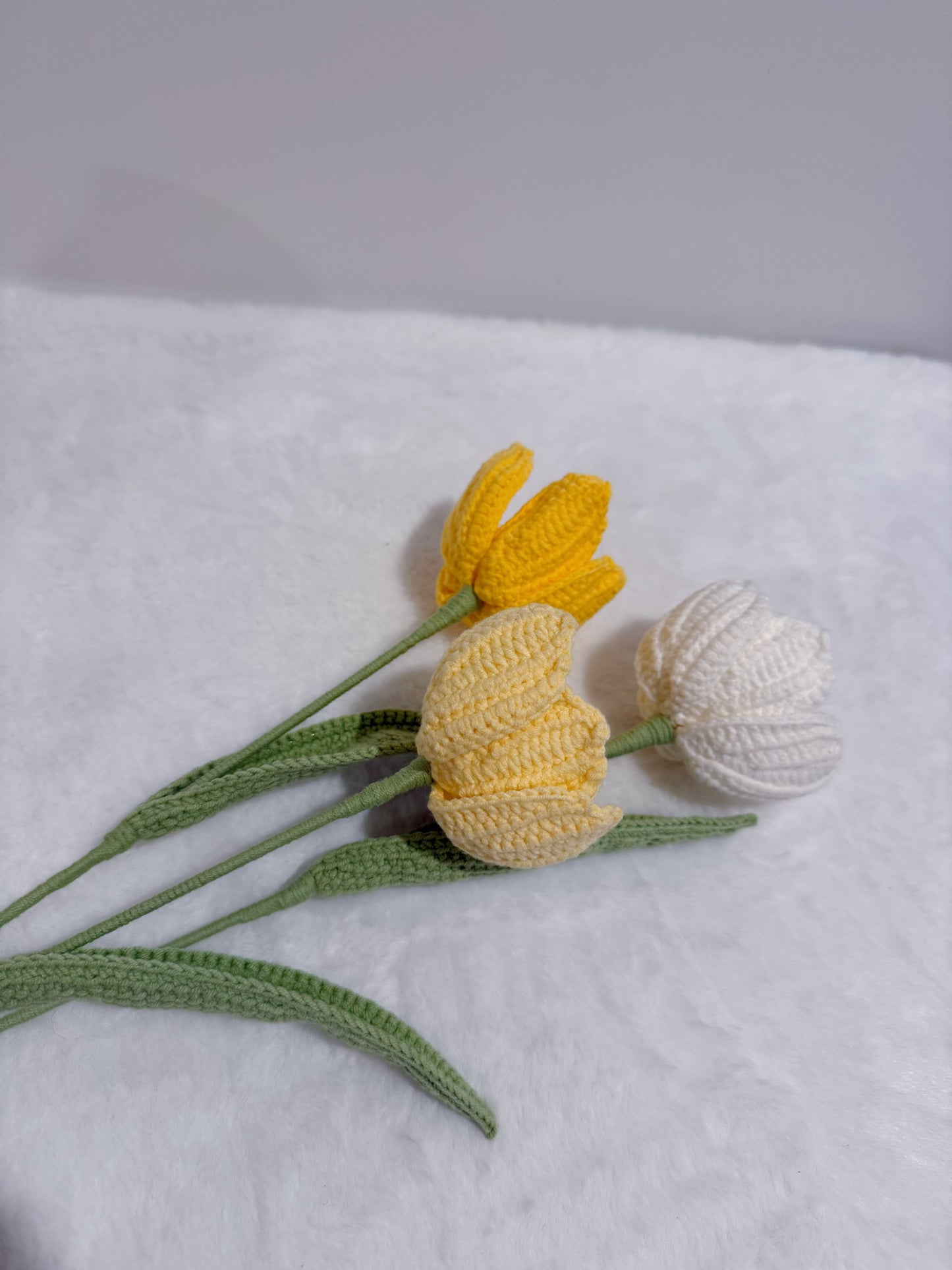 Tulip