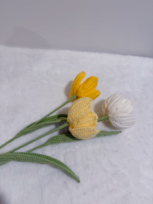 Tulip