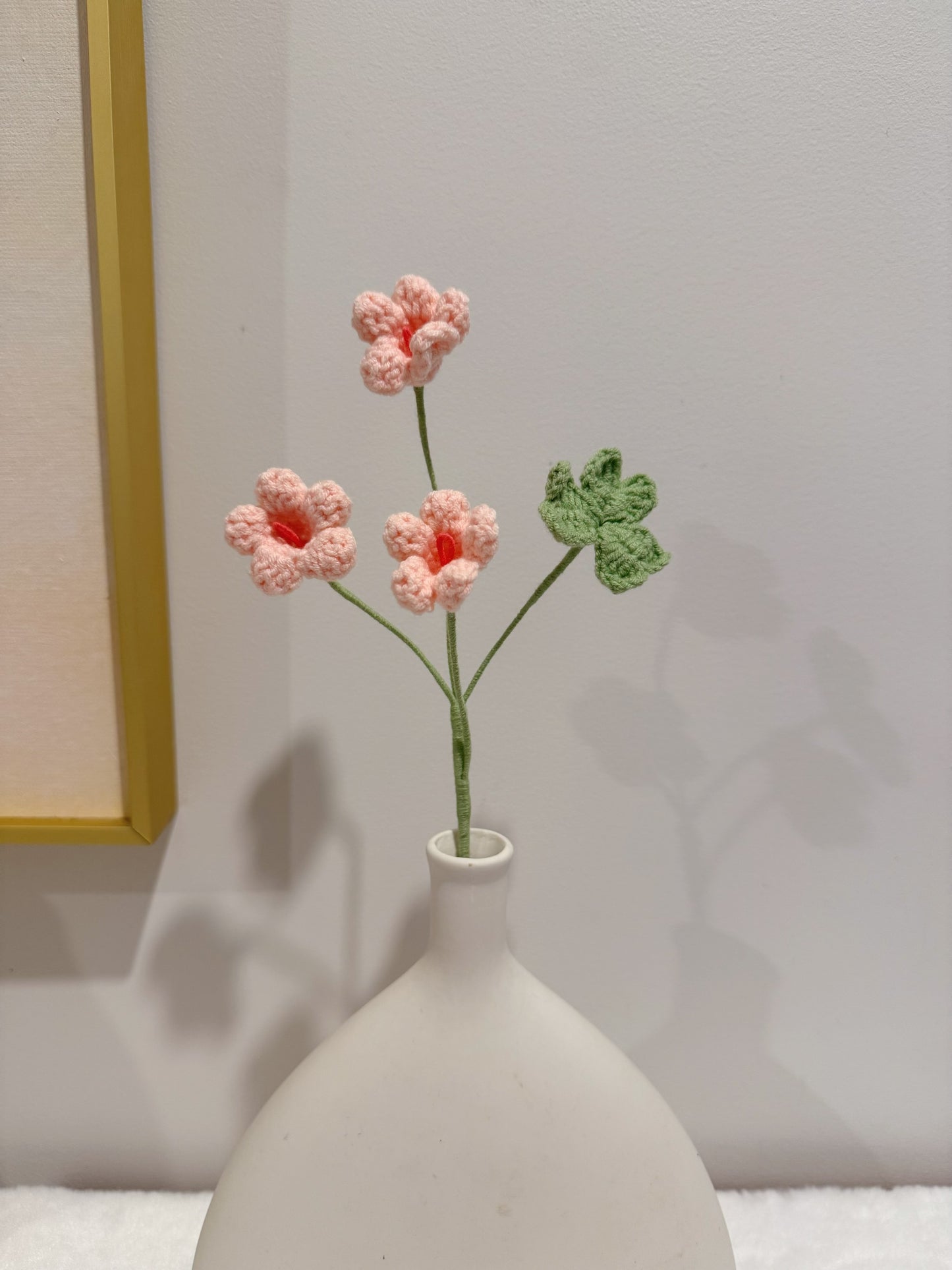 Oxalis