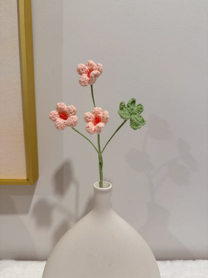 Oxalis