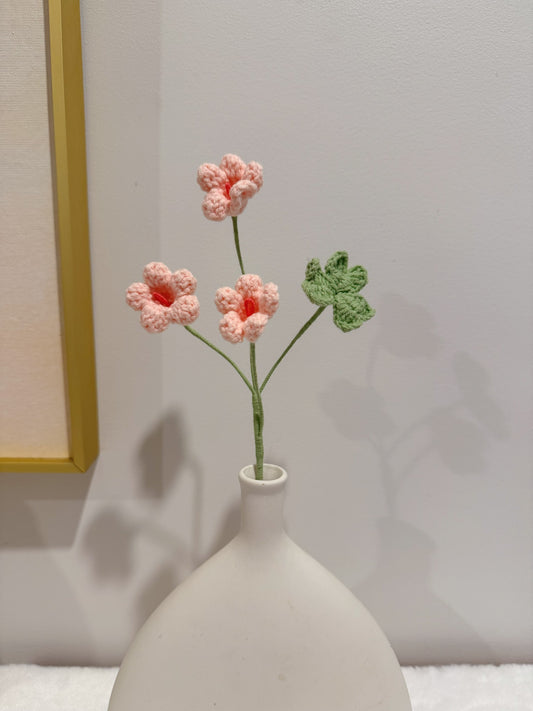Oxalis