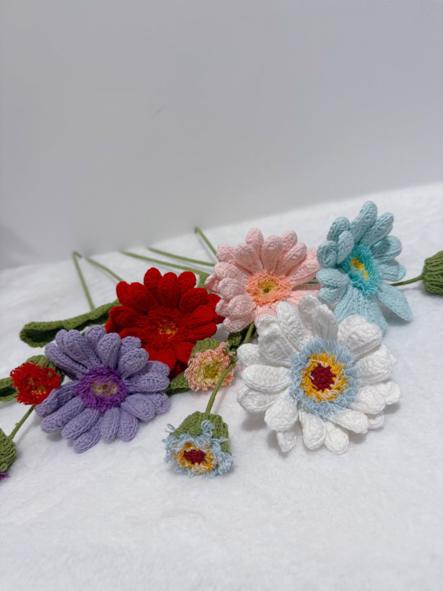 Gerbera with Bud