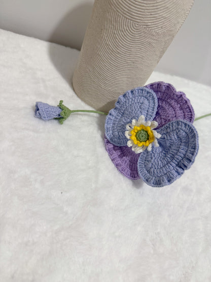 Poppy