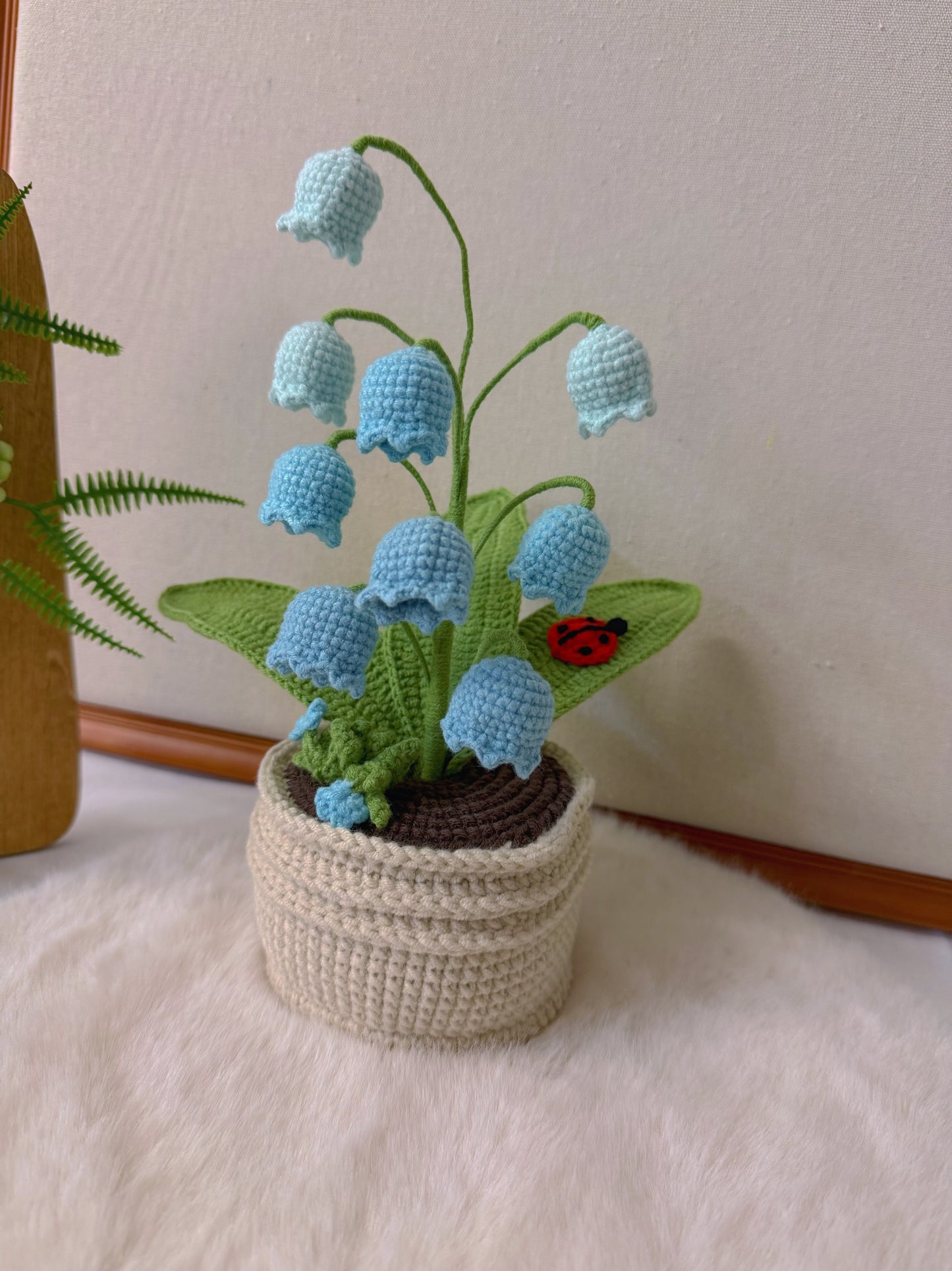 Potted Lily of the Valley with Ladybird