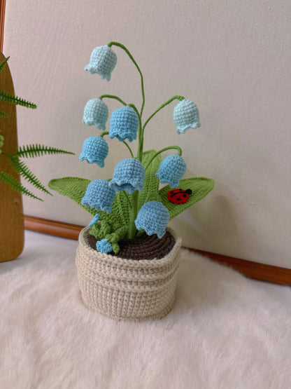 Potted Lily of the Valley with Ladybird