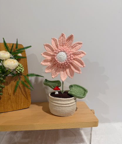 Sunflower & Mushroom Pot