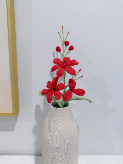 Orchid Flame