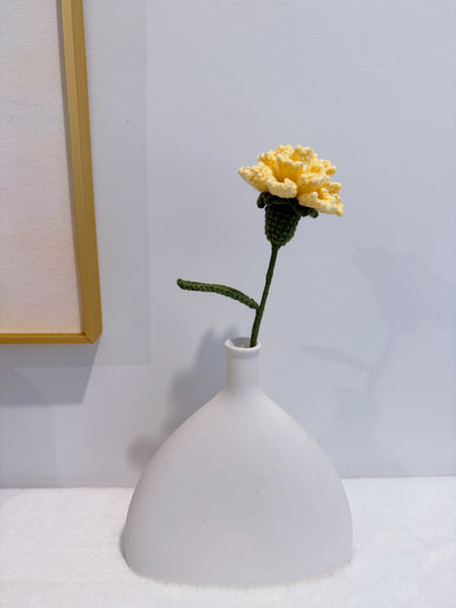 Carnation