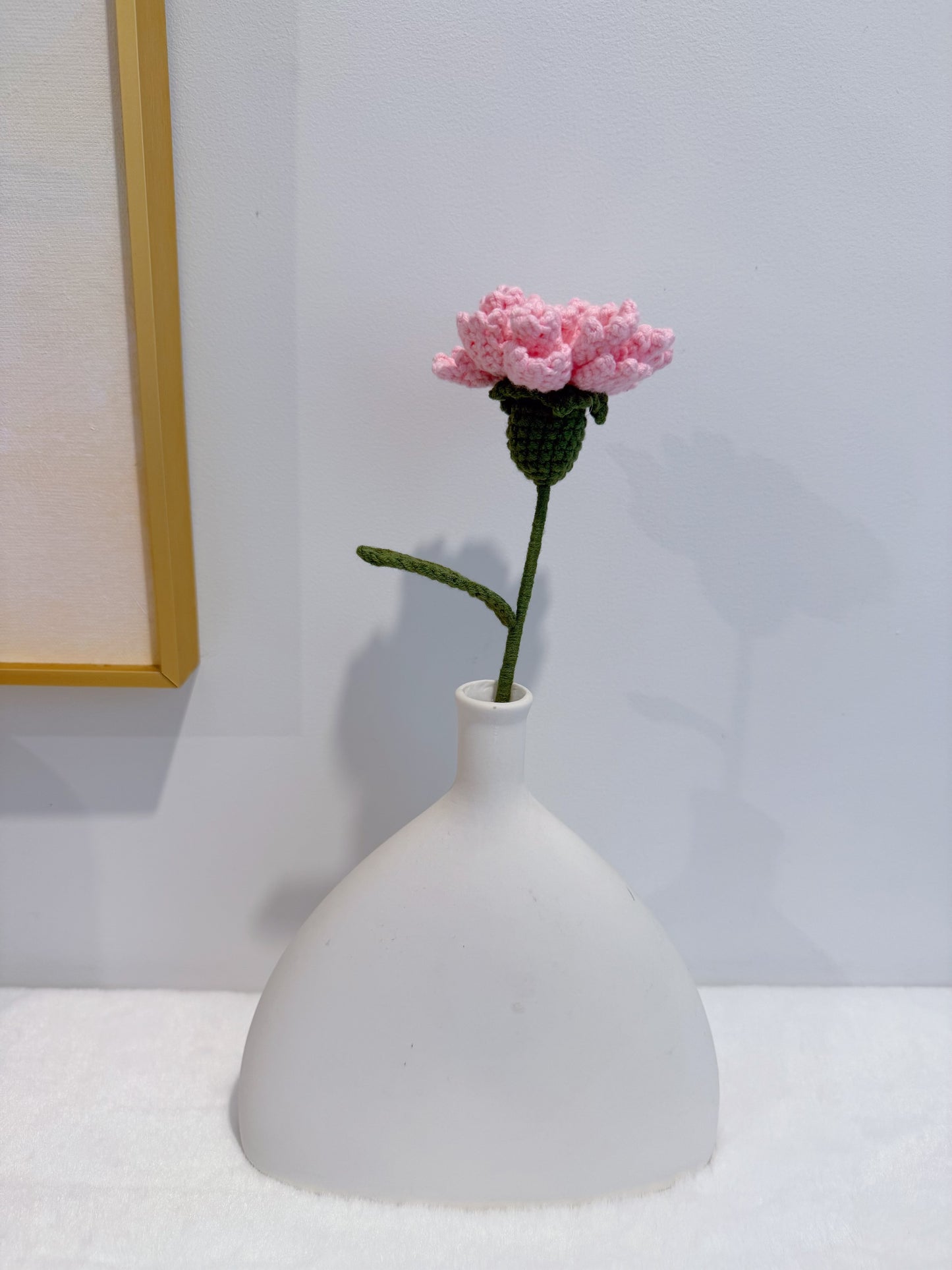 Carnation