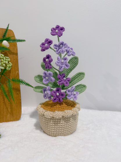 Flowers Blooming in Pot