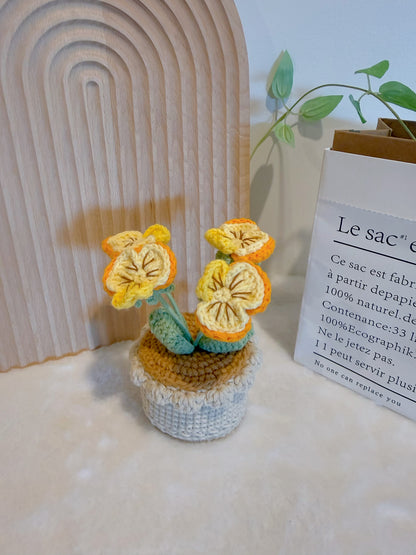 Pansy Flowers Pot Decoration