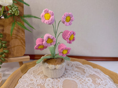 Lily of the Valley Pot