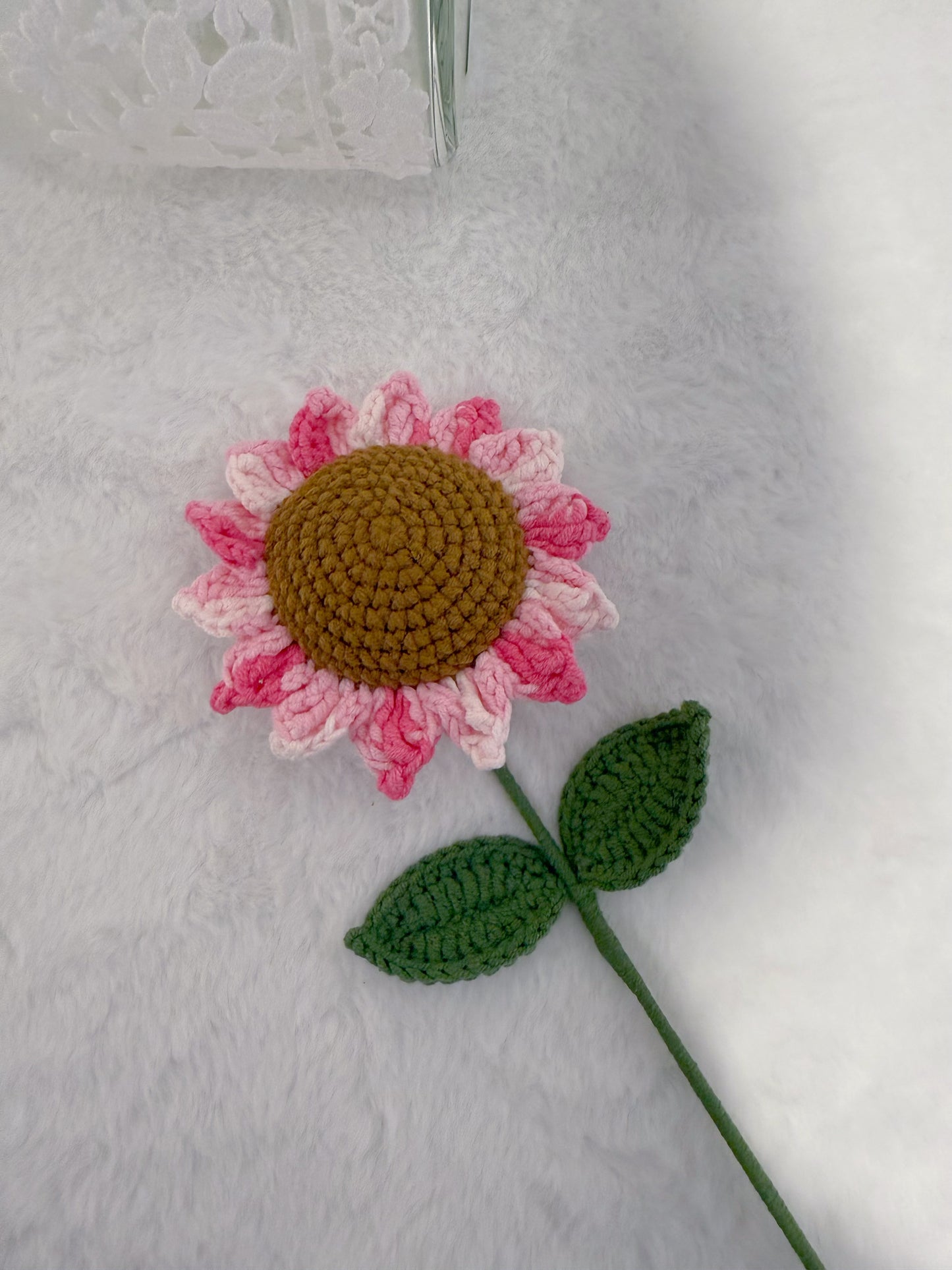 Variegated Pink Sunflower