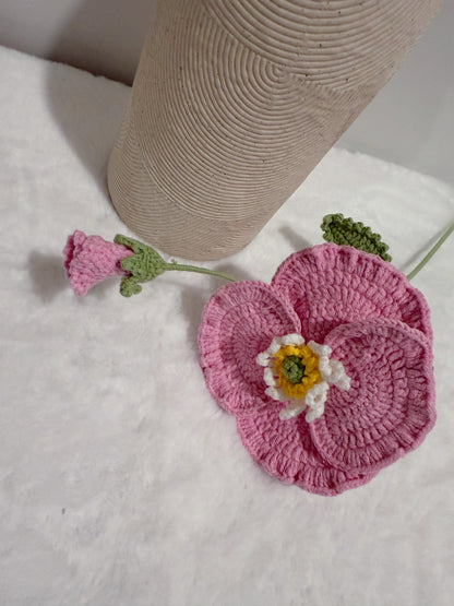 Poppy