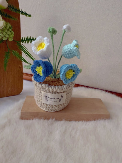 Potted Lily of the Valley