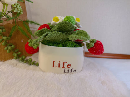 Potted Strawberries