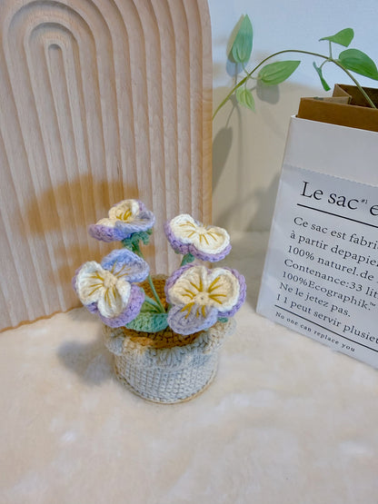 Pansy Flowers Pot Decoration