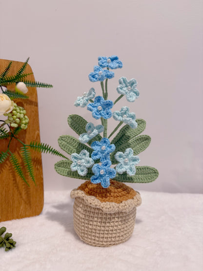 Flowers Blooming in Pot