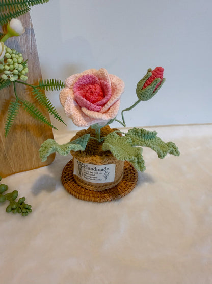 Romantic Rose Pot Decoration