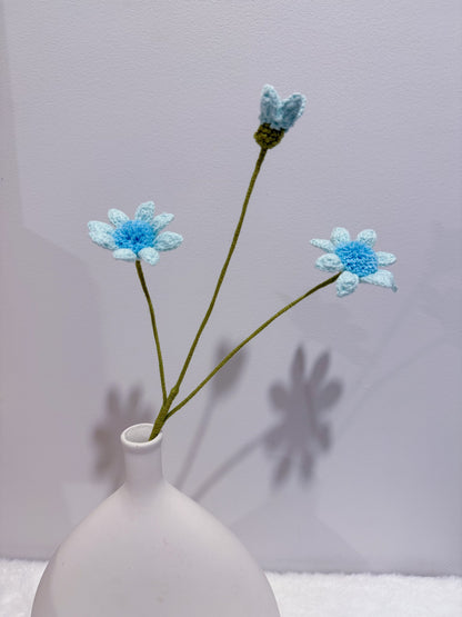 Blue Eyed Daisy