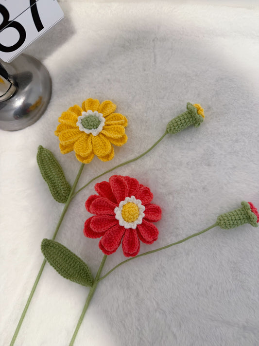 Zinnia