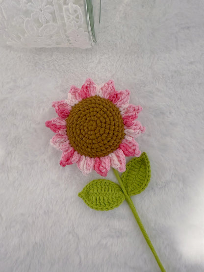 Variegated Pink Sunflower