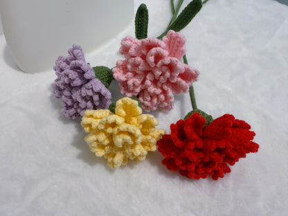 Carnation