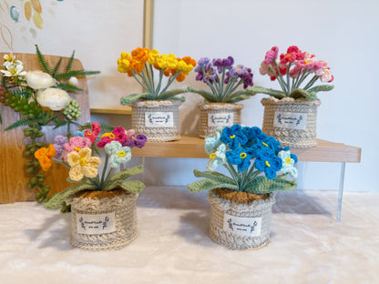Flowers Pot