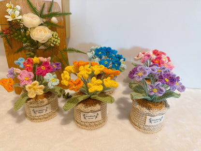 Flowers Pot